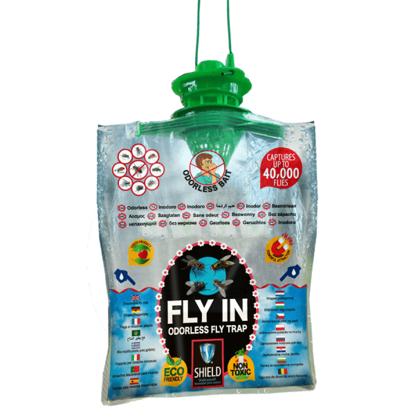 Fly In Odorless Fly Trap