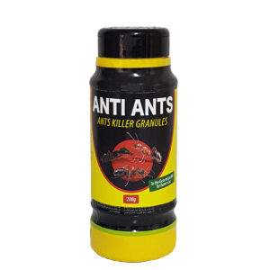 Anti Ants